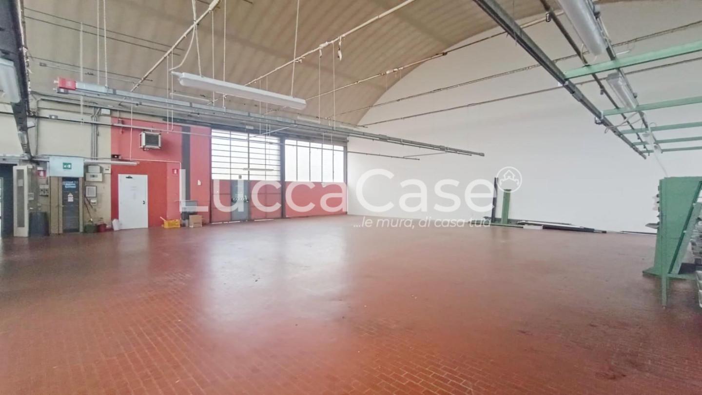 Capannone in affitto a Capannori