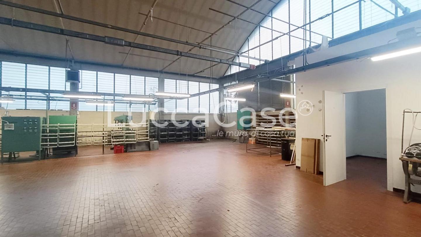 Capannone in affitto a Capannori