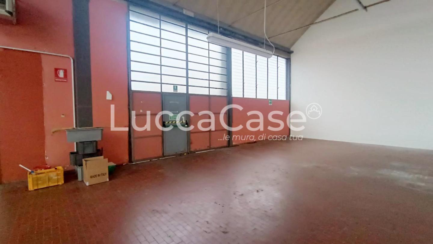 Capannone in affitto a Capannori