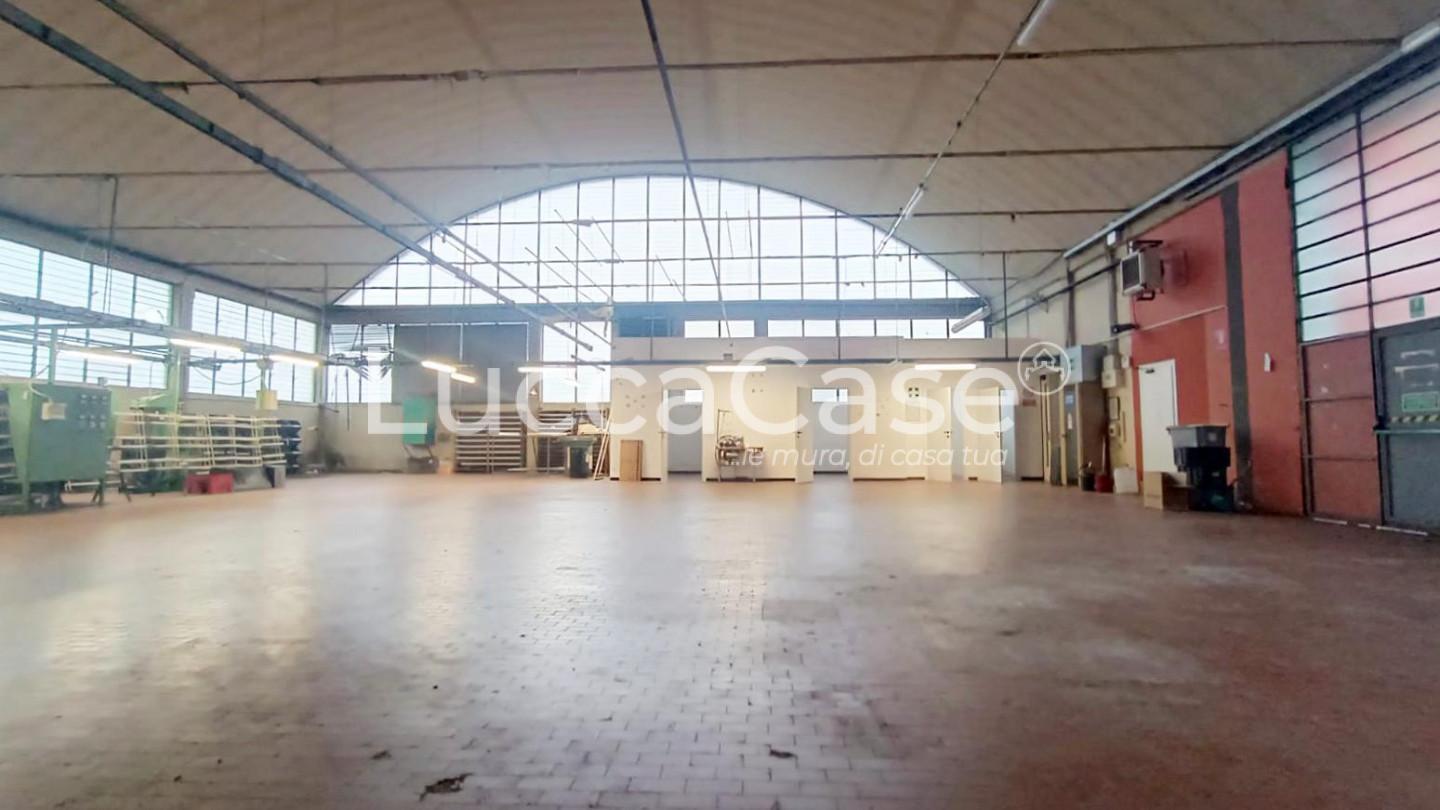 Capannone in affitto a Capannori