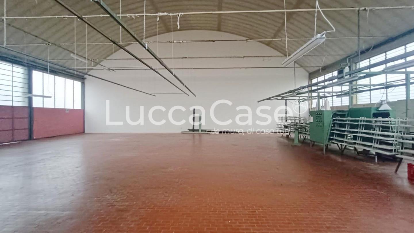 Capannone in affitto a Capannori