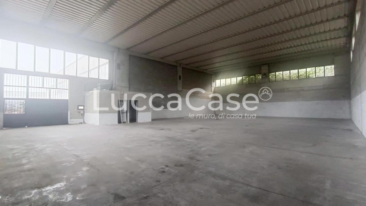 Capannone in affitto, Pescia veneri