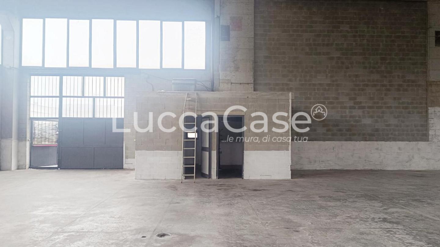 Capannone in affitto, Pescia veneri