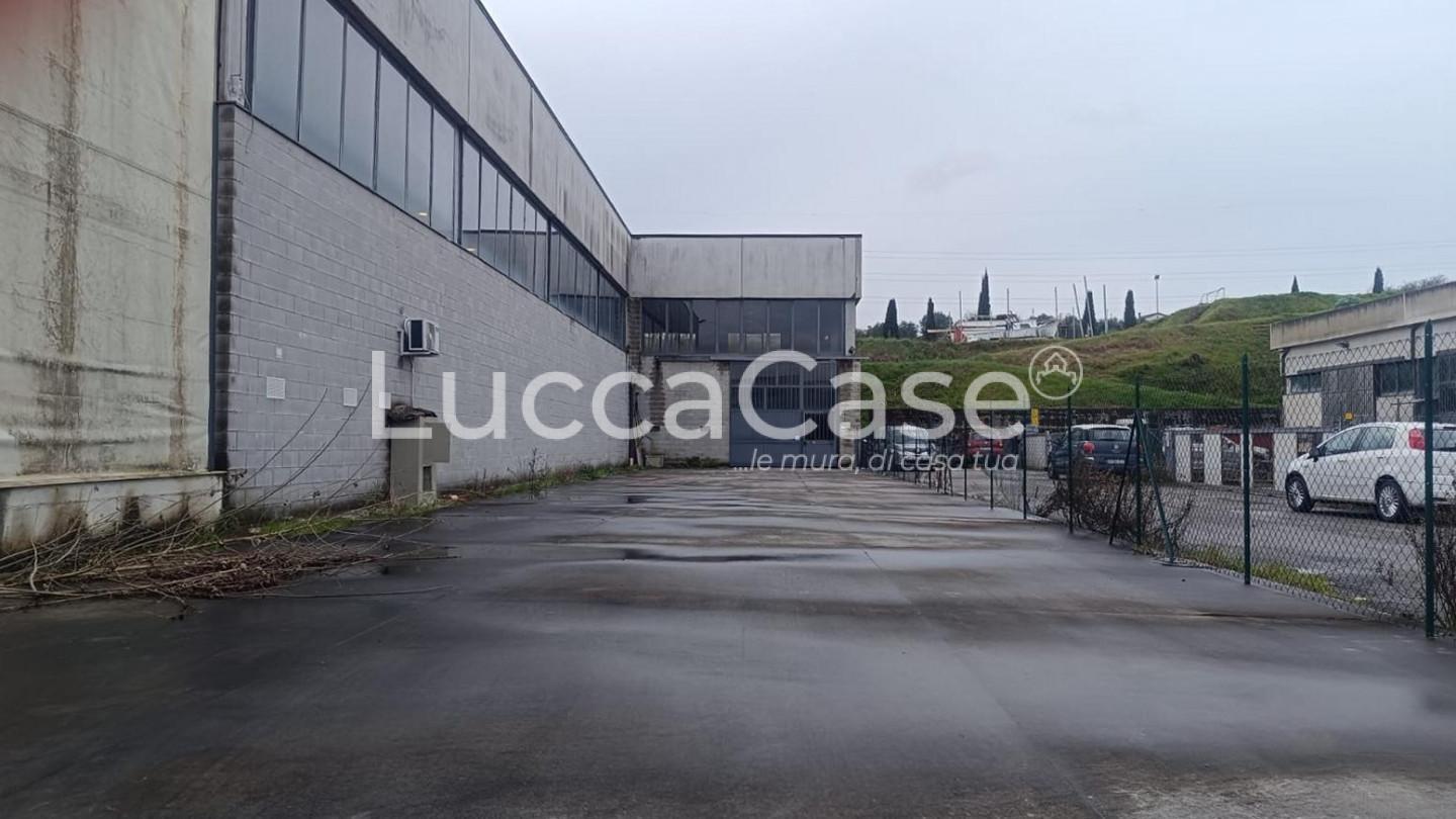 Capannone in affitto, Pescia veneri