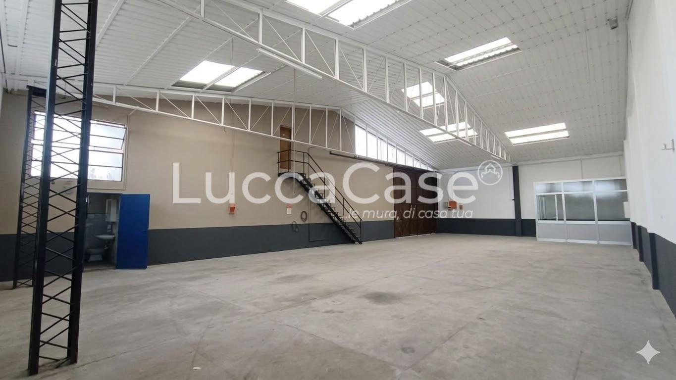 Capannone in affitto a Capannori