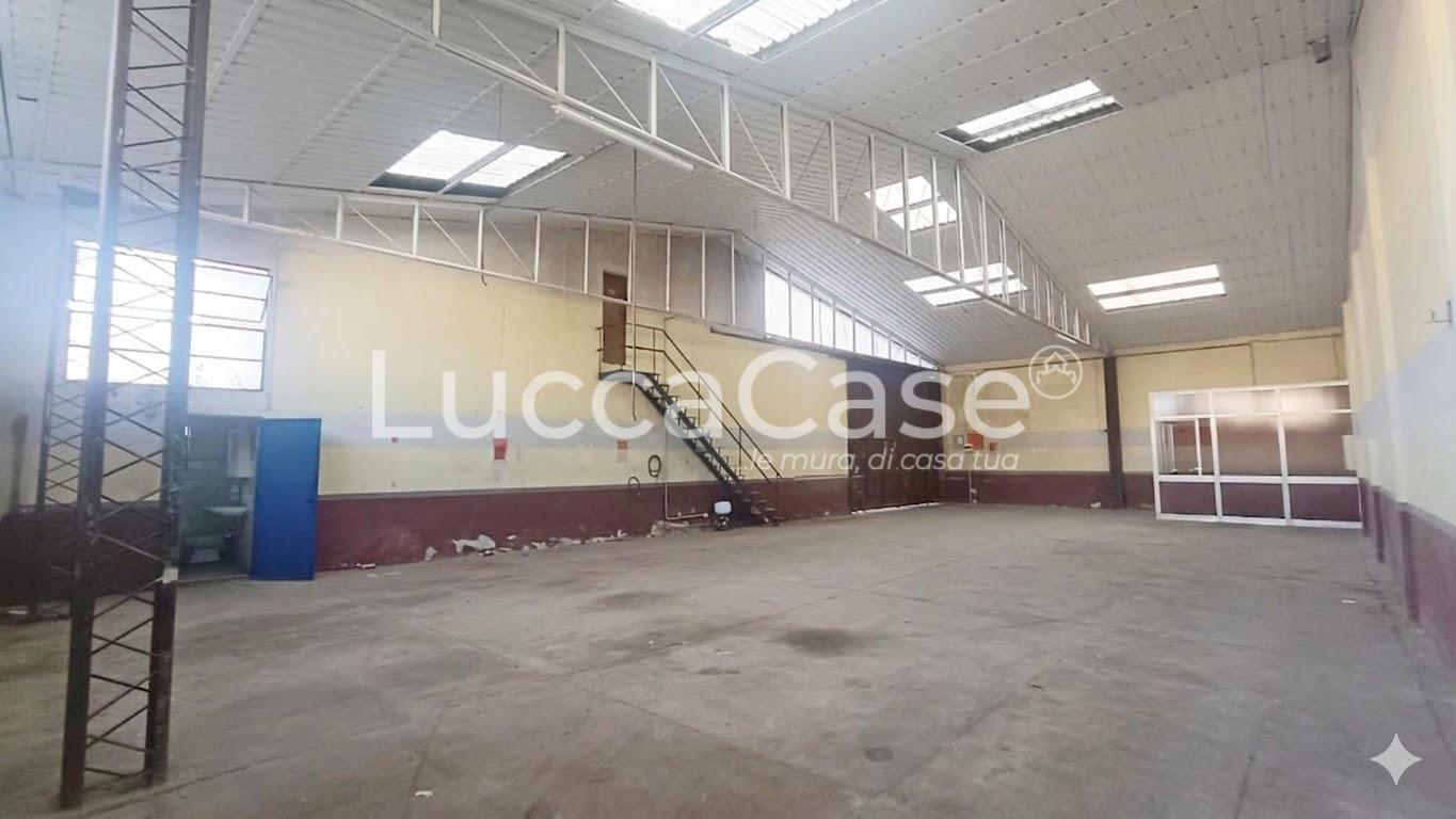 Capannone in affitto a Capannori