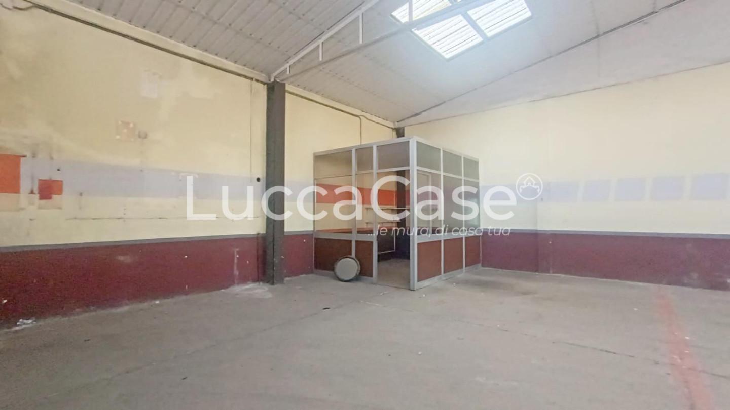 Capannone in affitto a Capannori