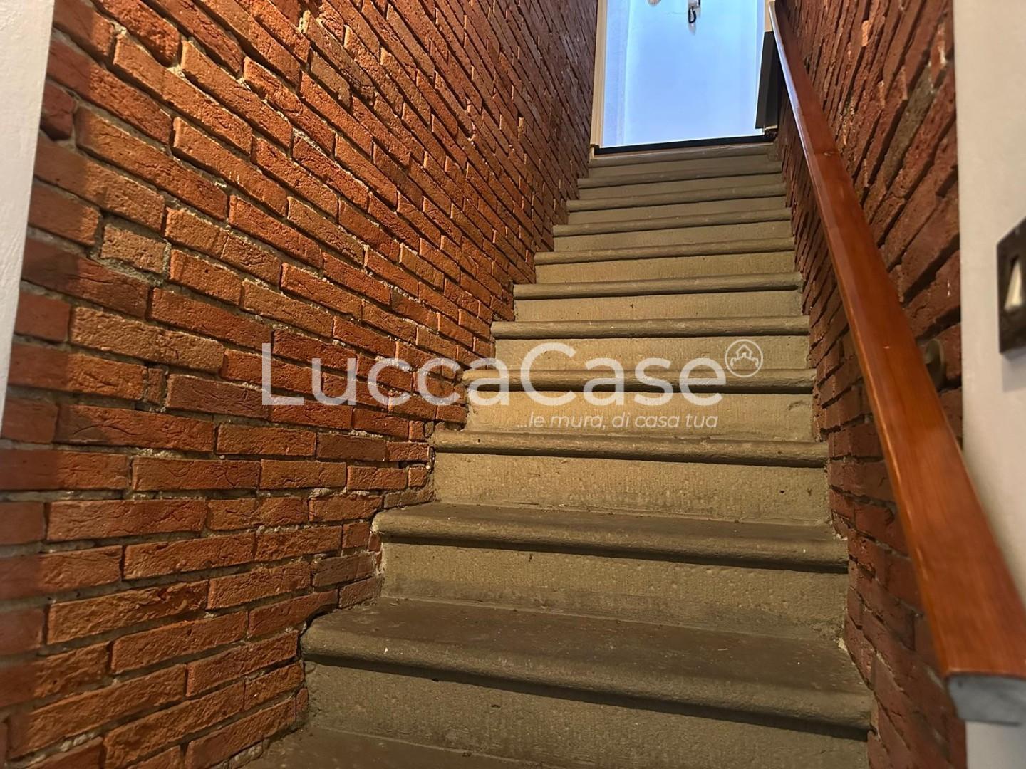 Casa indipendente in vendita, Montecarlo turchetto