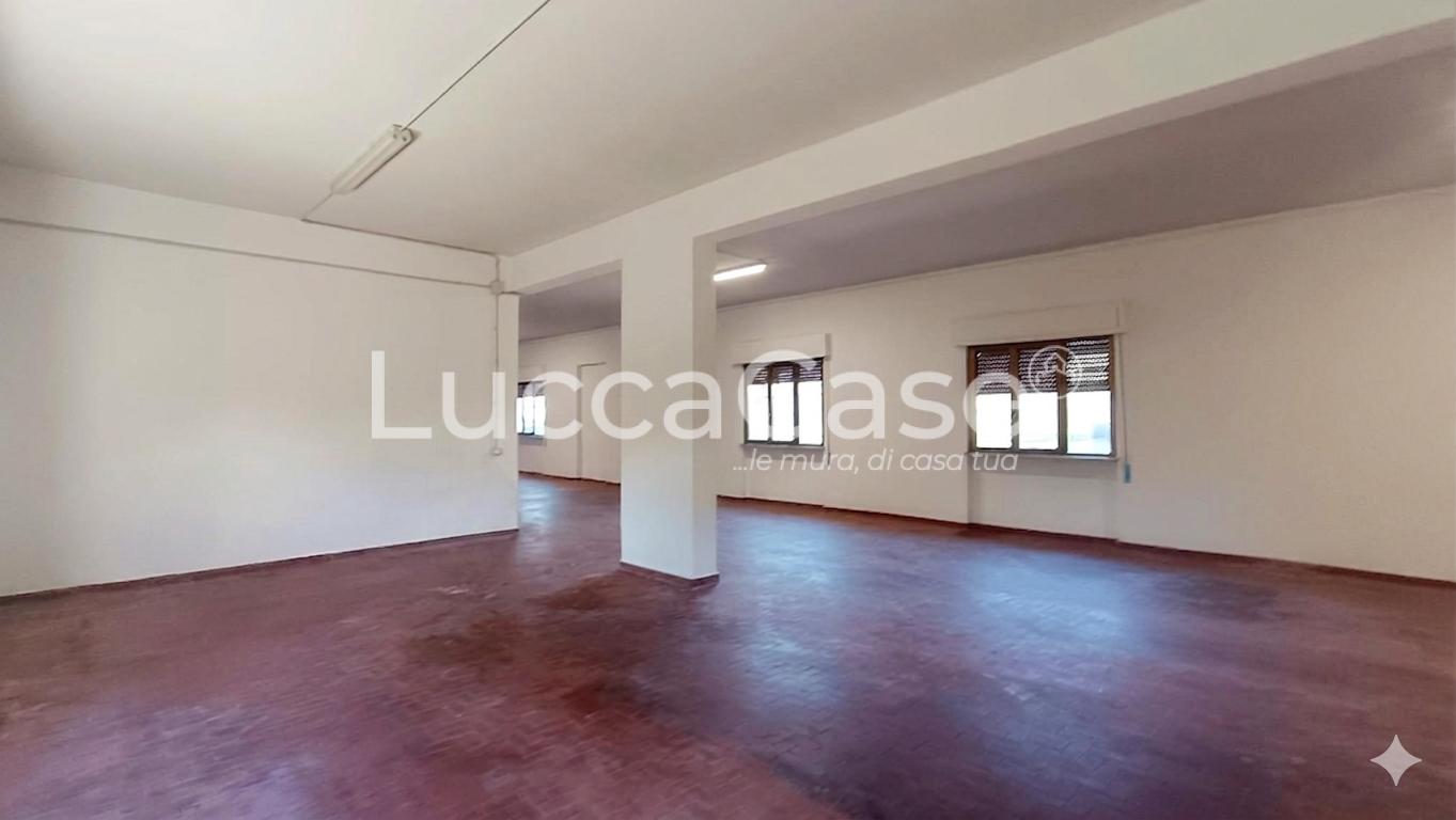 Laboratorio in affitto, Lucca san concordio contrada