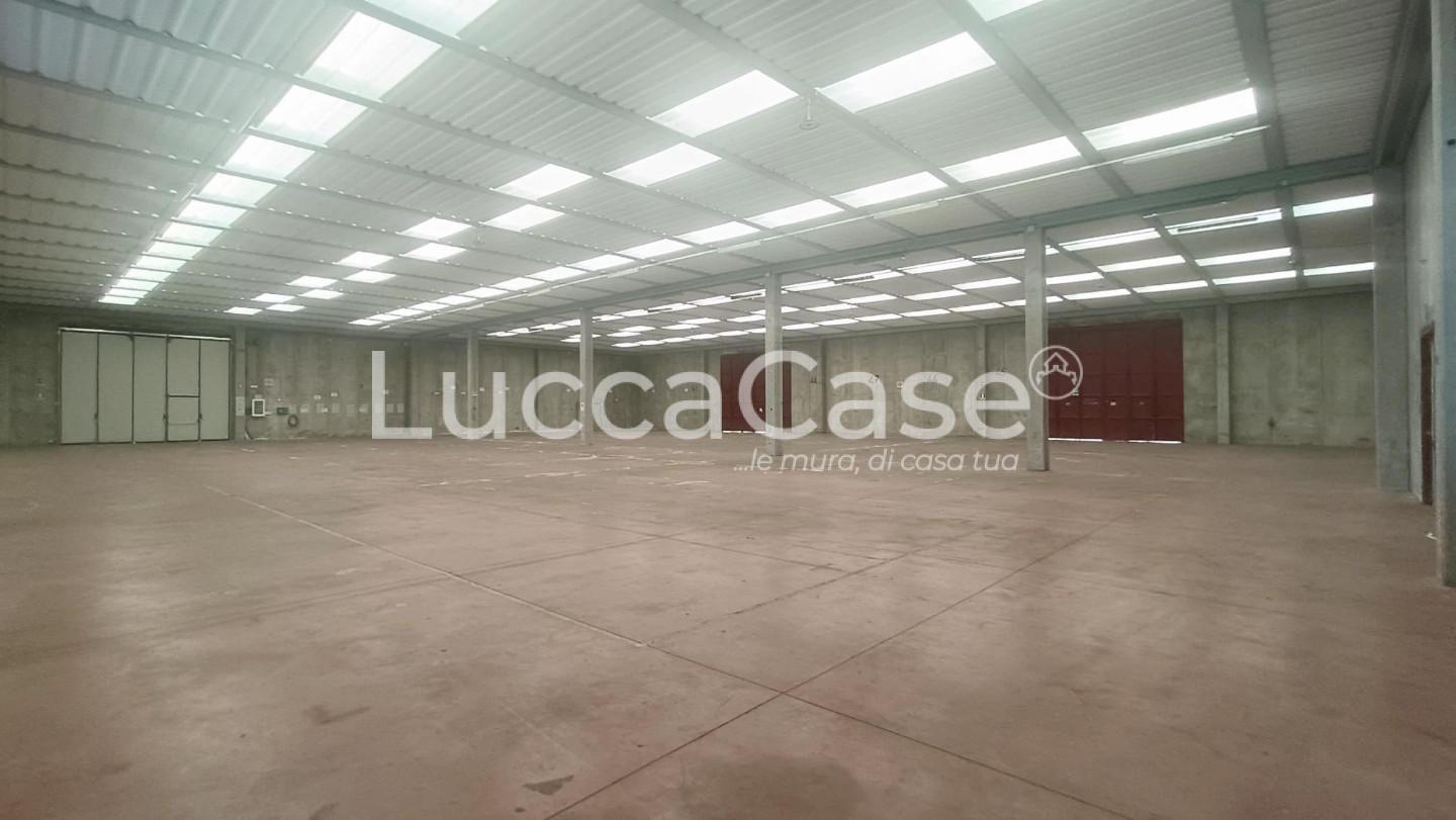 Capannone in affitto, Capannori guamo