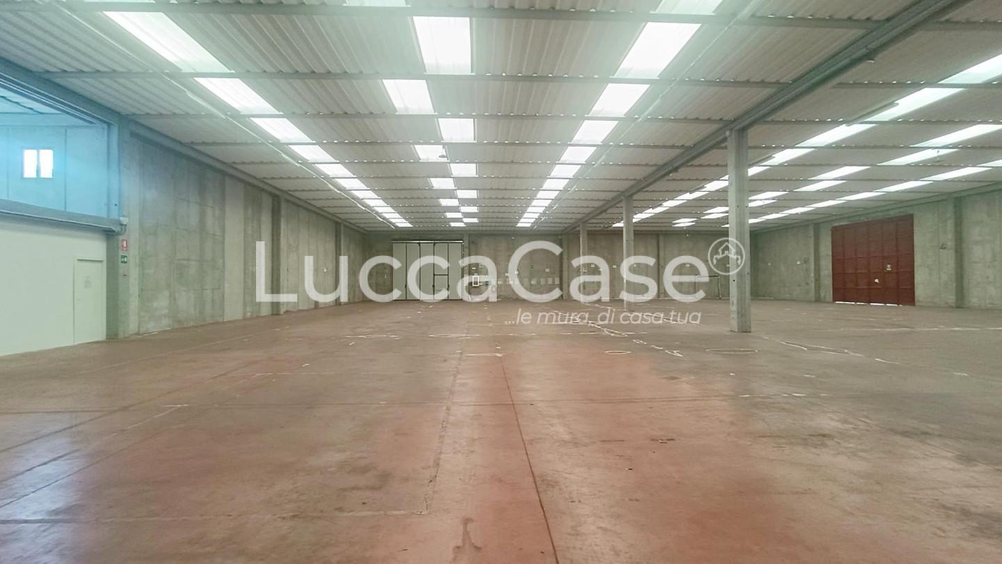 Capannone in affitto, Capannori guamo