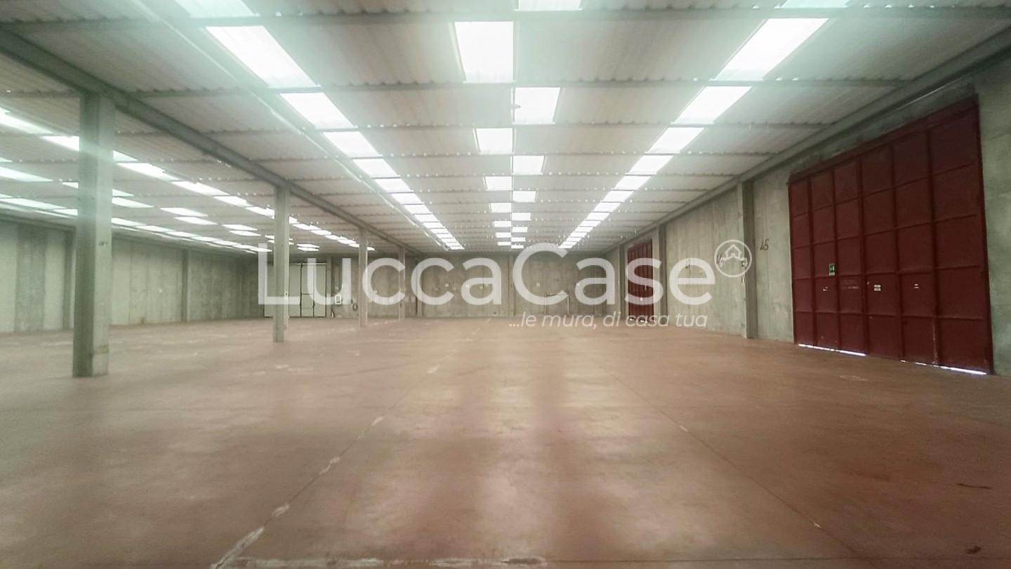 Capannone in affitto, Capannori guamo