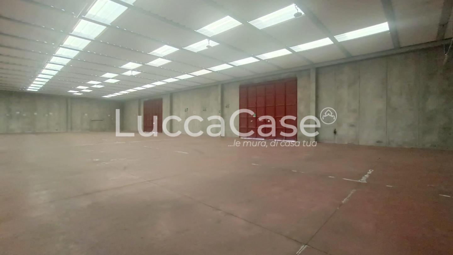 Capannone in affitto, Capannori guamo