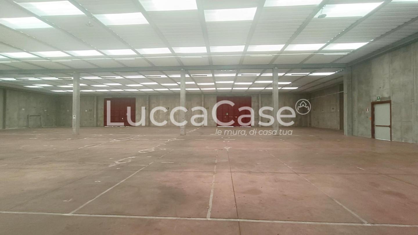 Capannone in affitto, Capannori guamo