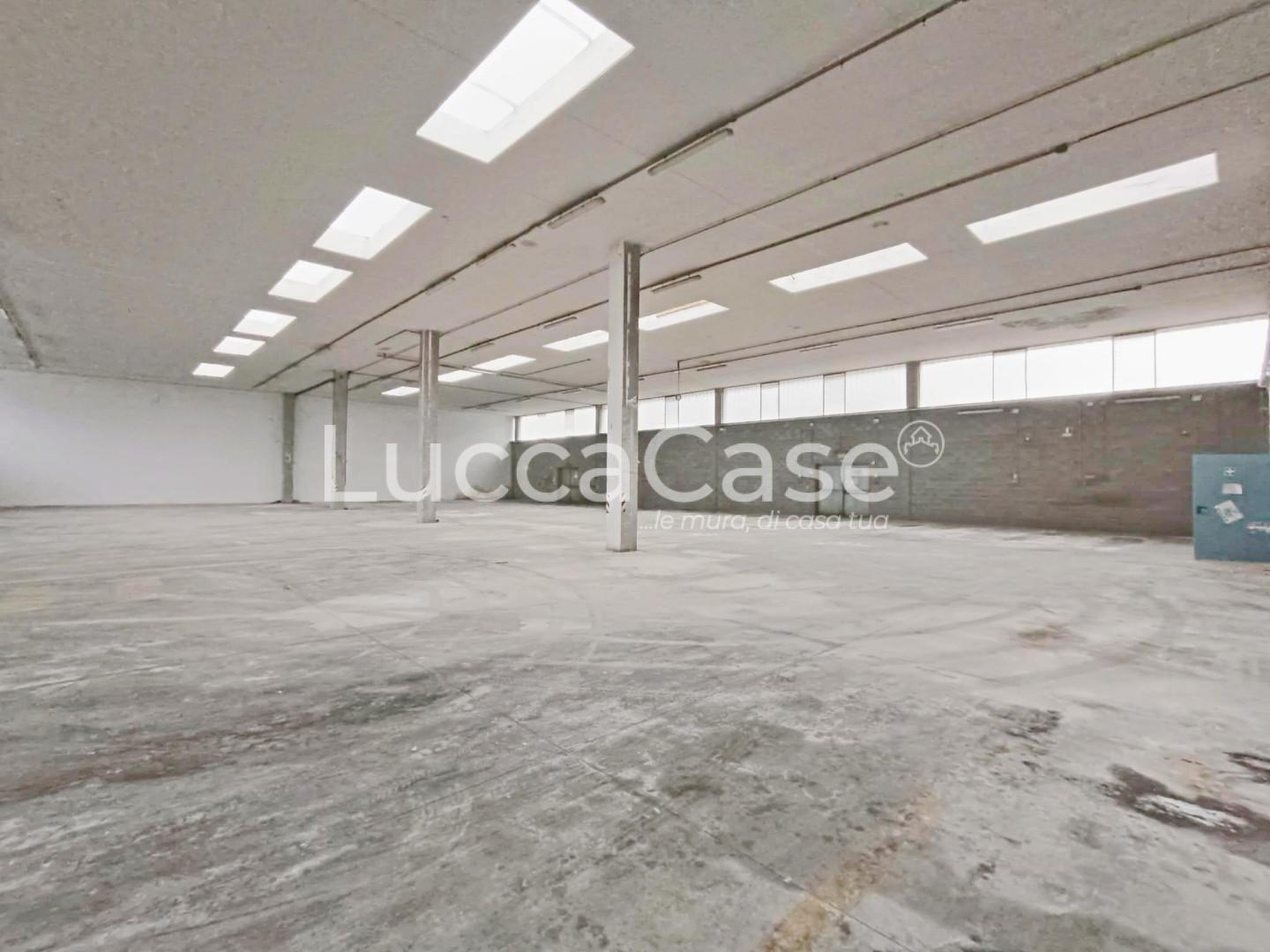 Capannone in affitto, Coreglia Antelminelli piano di coreglia