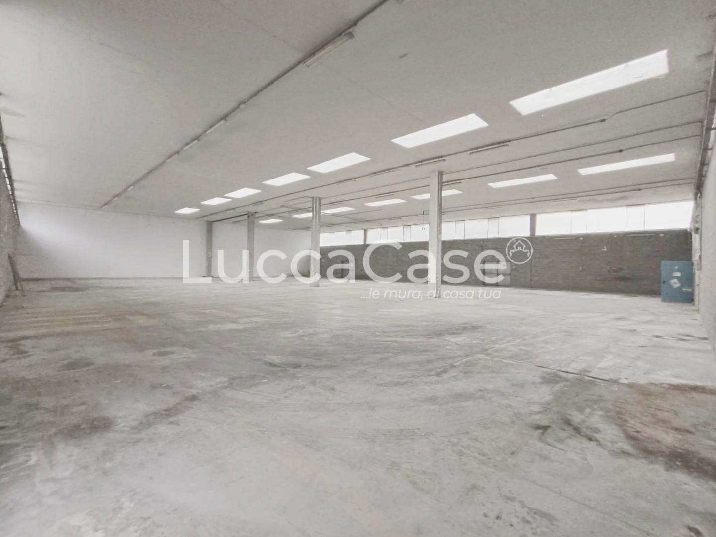 Capannone in affitto, Coreglia Antelminelli piano di coreglia