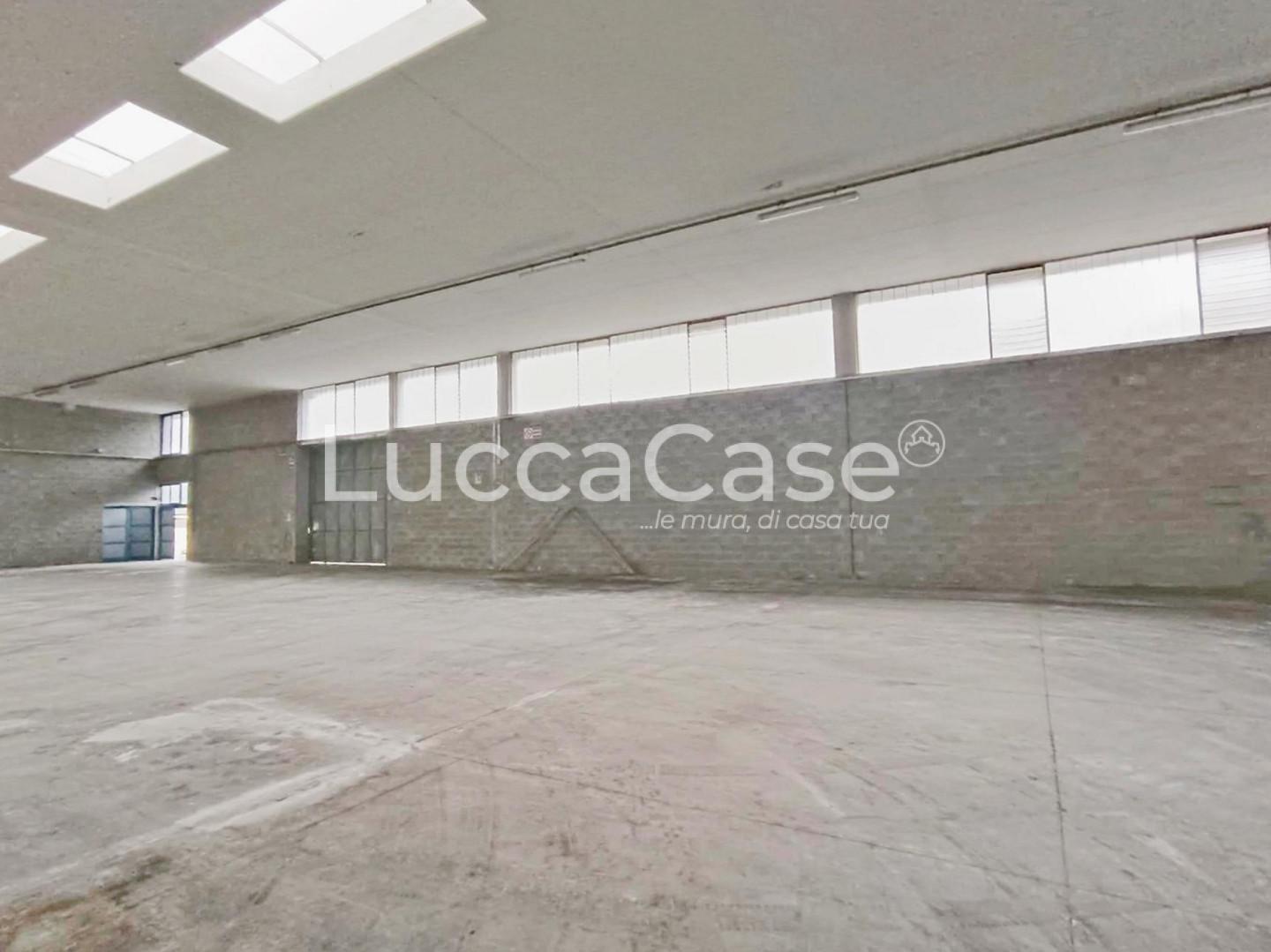 Capannone in affitto, Coreglia Antelminelli piano di coreglia