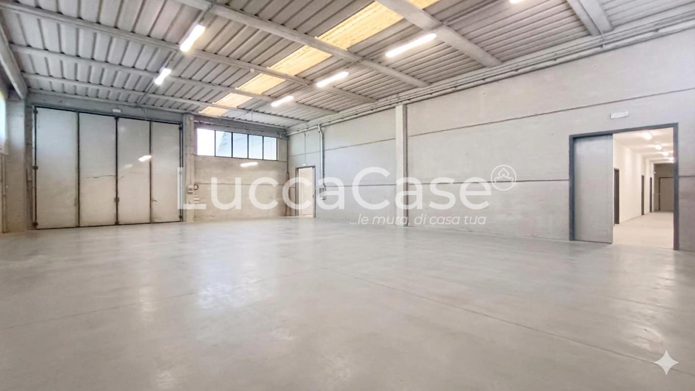 Capannone in affitto a Porcari