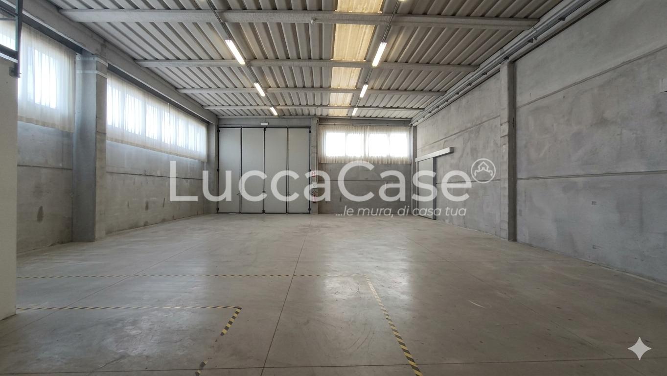 Capannone in affitto a Porcari