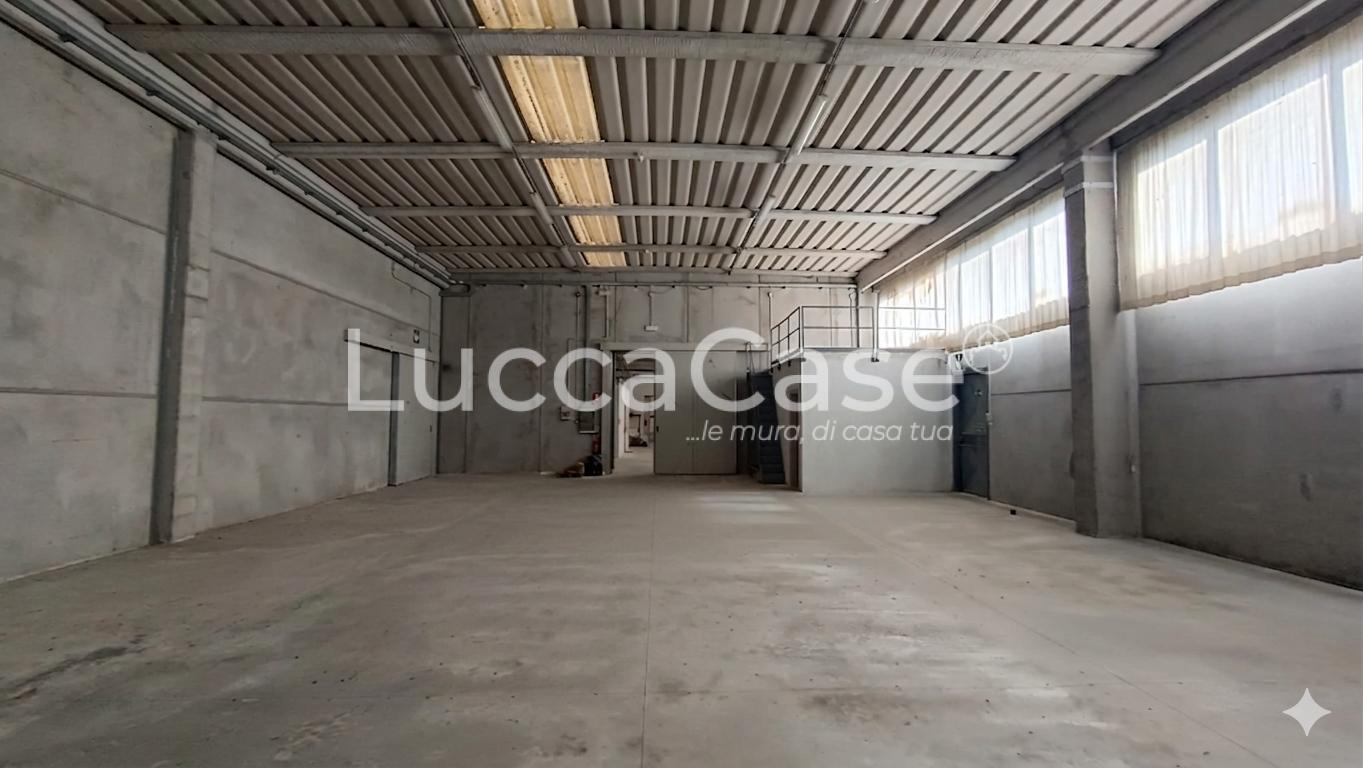 Capannone in affitto a Porcari