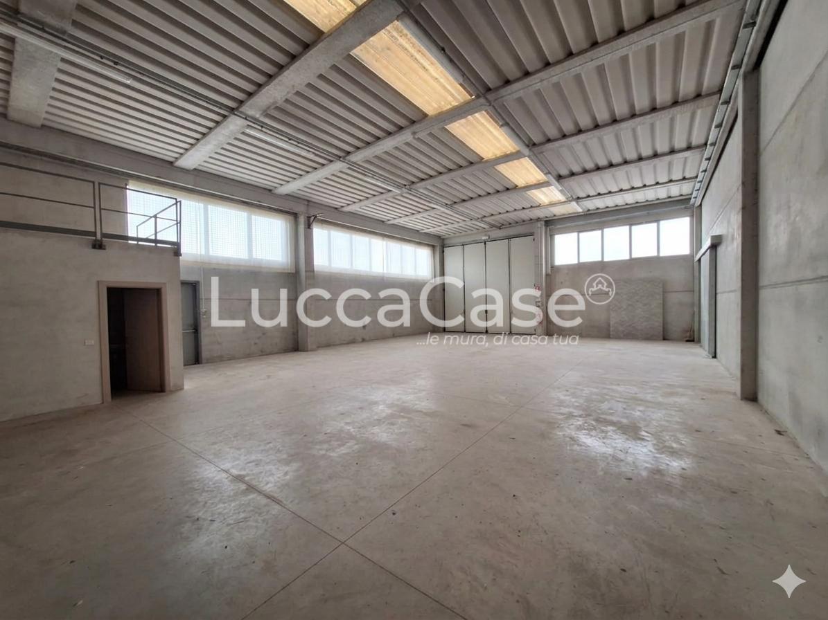 Capannone in affitto a Porcari