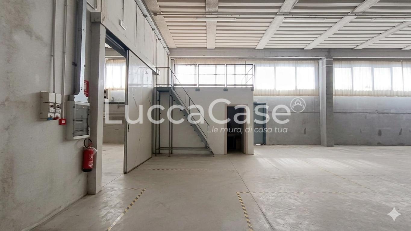 Capannone in affitto a Porcari