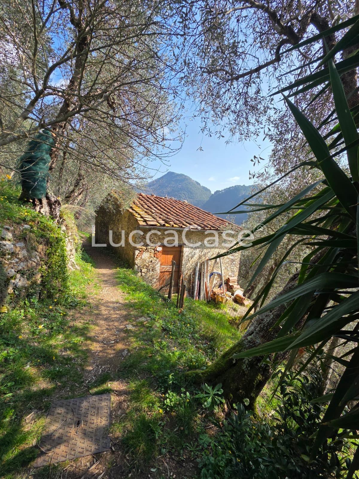 Rustico da ristrutturare, Camaiore torcigliano