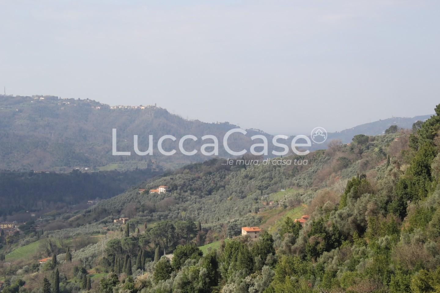 Rustico da ristrutturare, Camaiore torcigliano