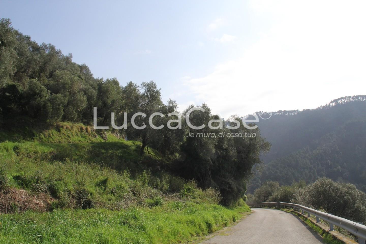 Rustico da ristrutturare, Camaiore torcigliano