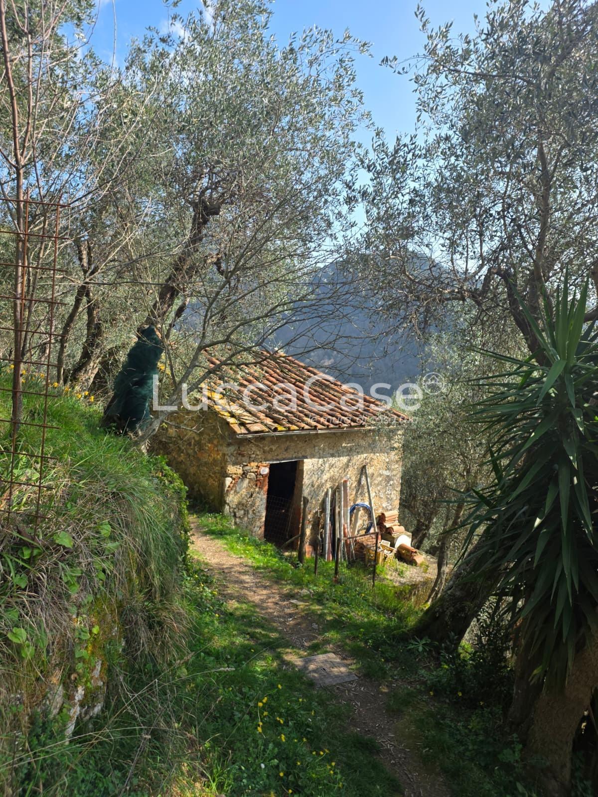 Rustico da ristrutturare, Camaiore torcigliano