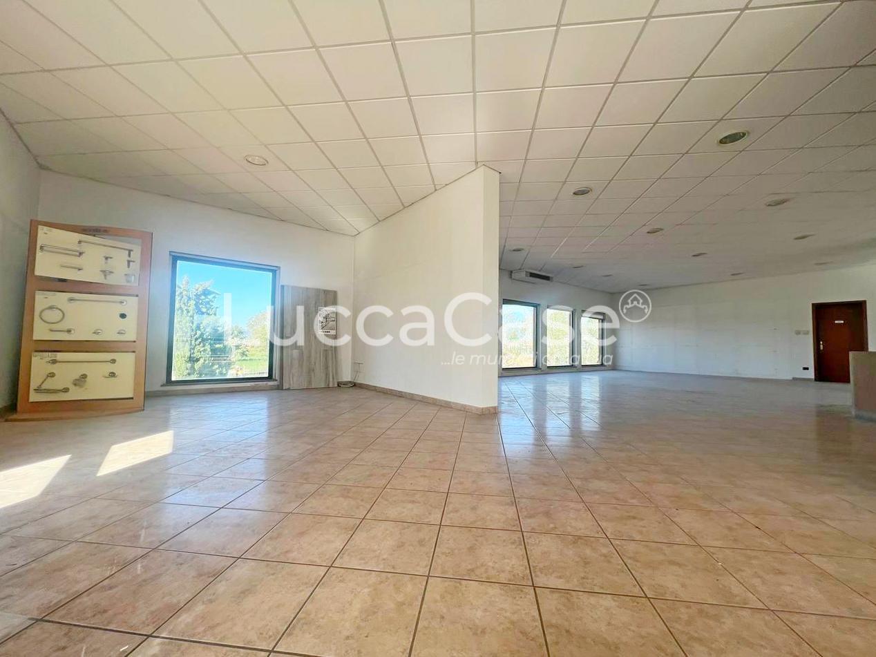 Locale commerciale in affitto, Capannori lammari