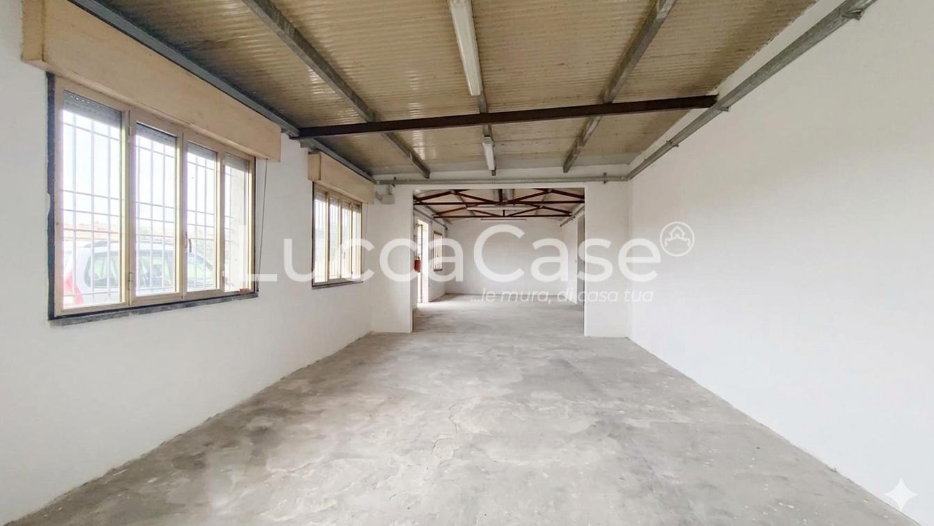 Laboratorio in affitto, Capannori lammari