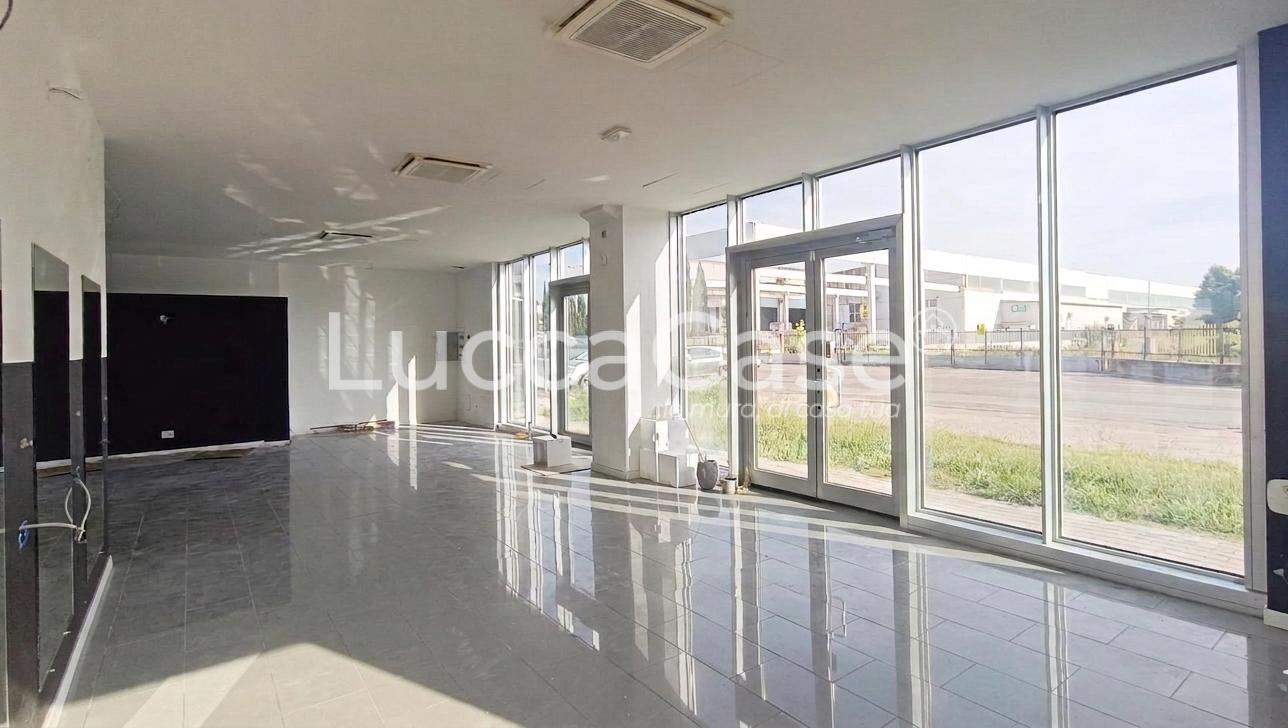 Locale commerciale in affitto, Pisa ospedaletto