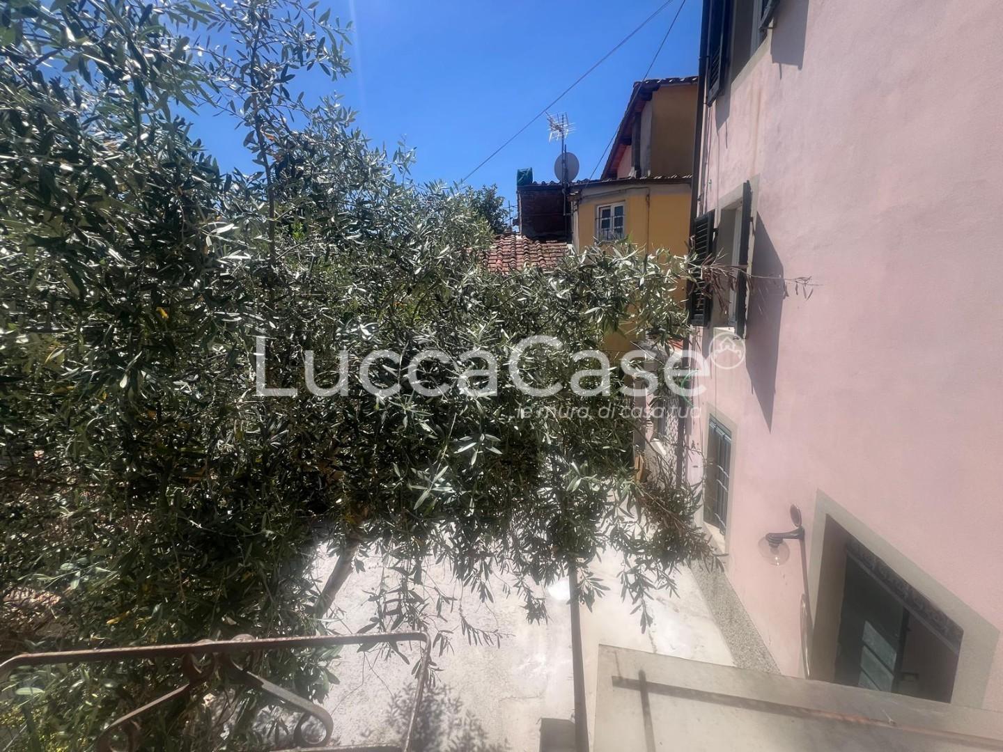 Villa Bifamiliare con giardino, Lucca santa maria del giudice