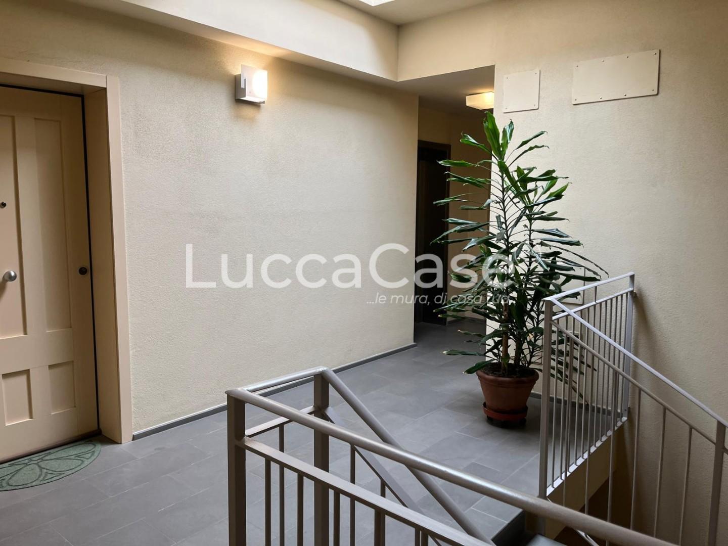 Bilocale con terrazzo, Lucca san marco