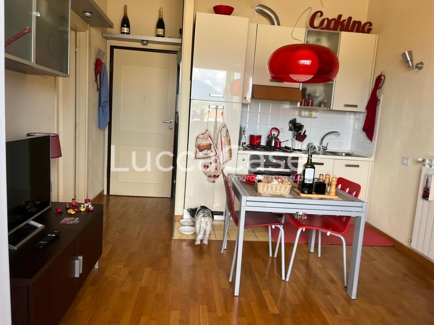 Bilocale con terrazzo, Lucca san marco