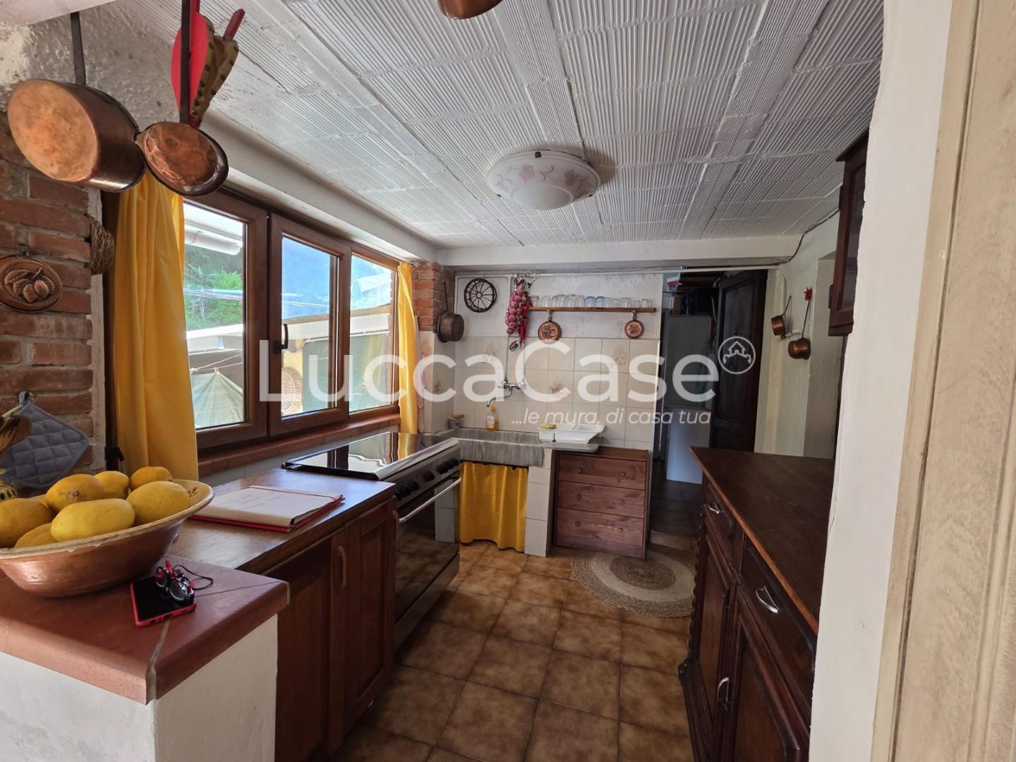 Casa indipendente in vendita, Massarosa montigiano