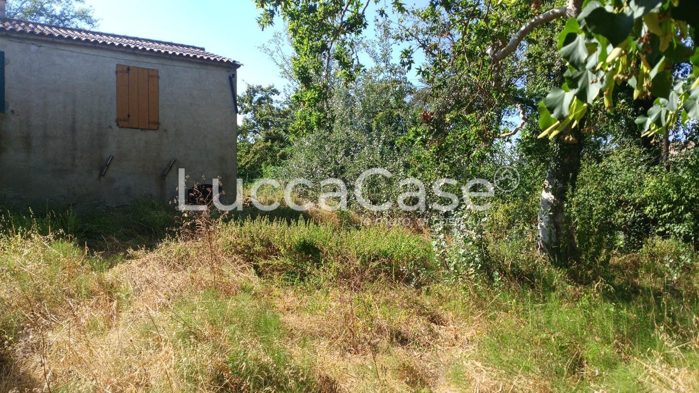 Rustico con giardino a Terricciola