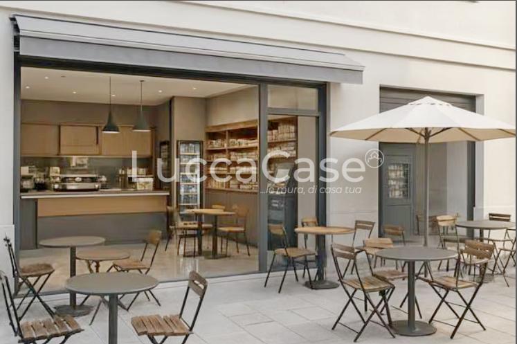 Attività commerciale in vendita, Lucca san concordio contrada