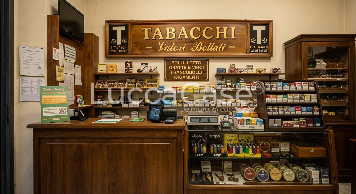 Attivit� commerciale in vendita, Lucca san concordio contrada