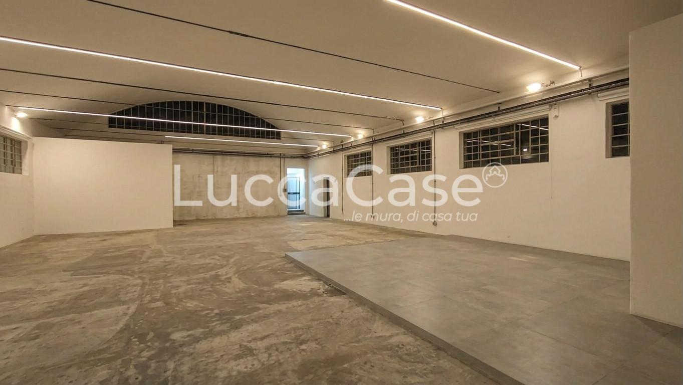 Capannone ristrutturata, Capannori lunata