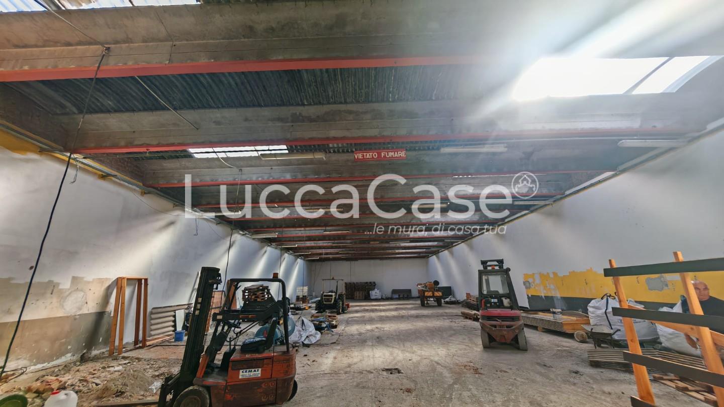 Capannone ristrutturata a Capannori