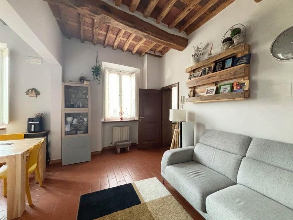 Appartamento in vendita, Lucca san concordio contrada