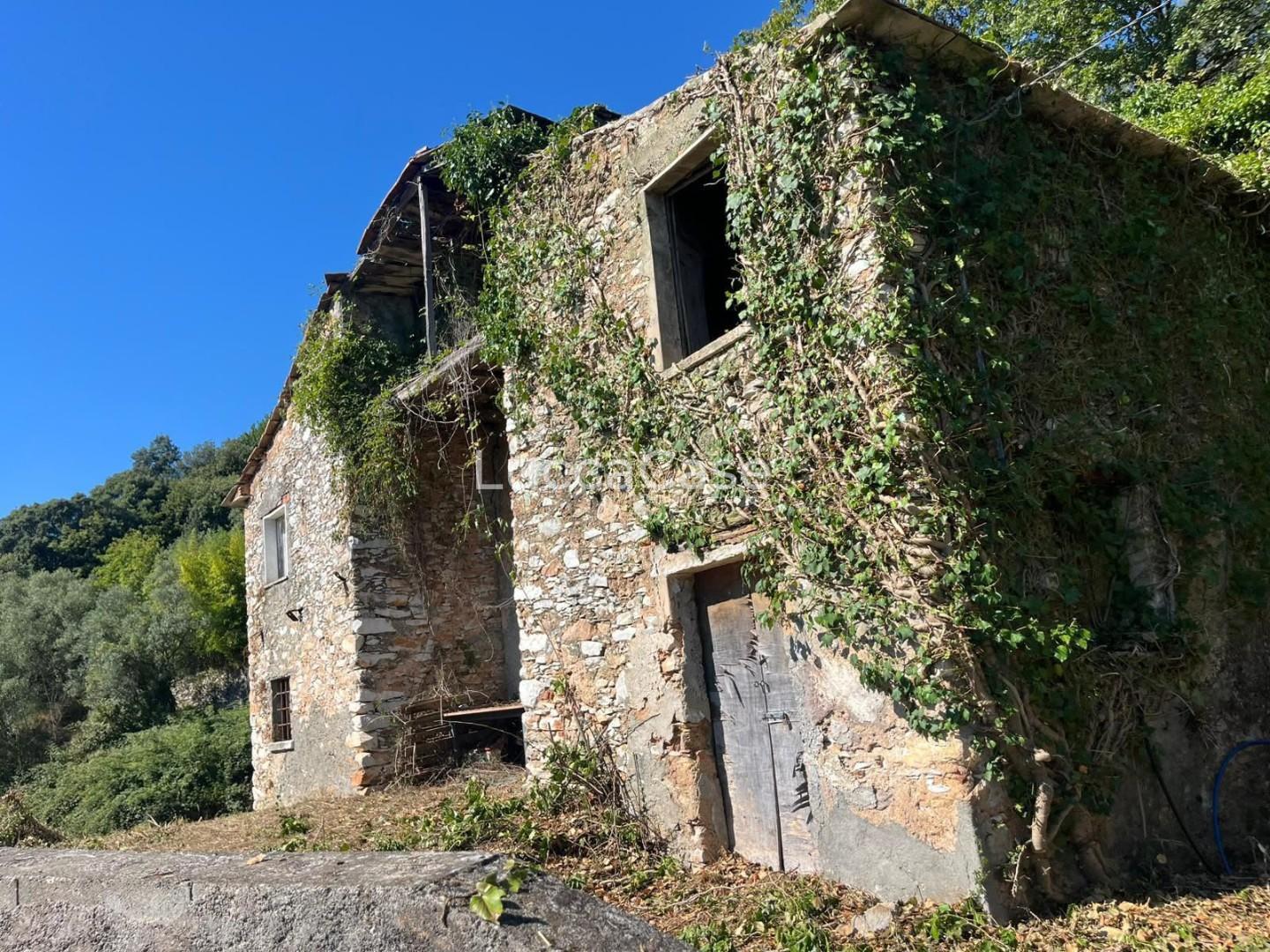 Rustico con giardino, Seravezza giustagnana