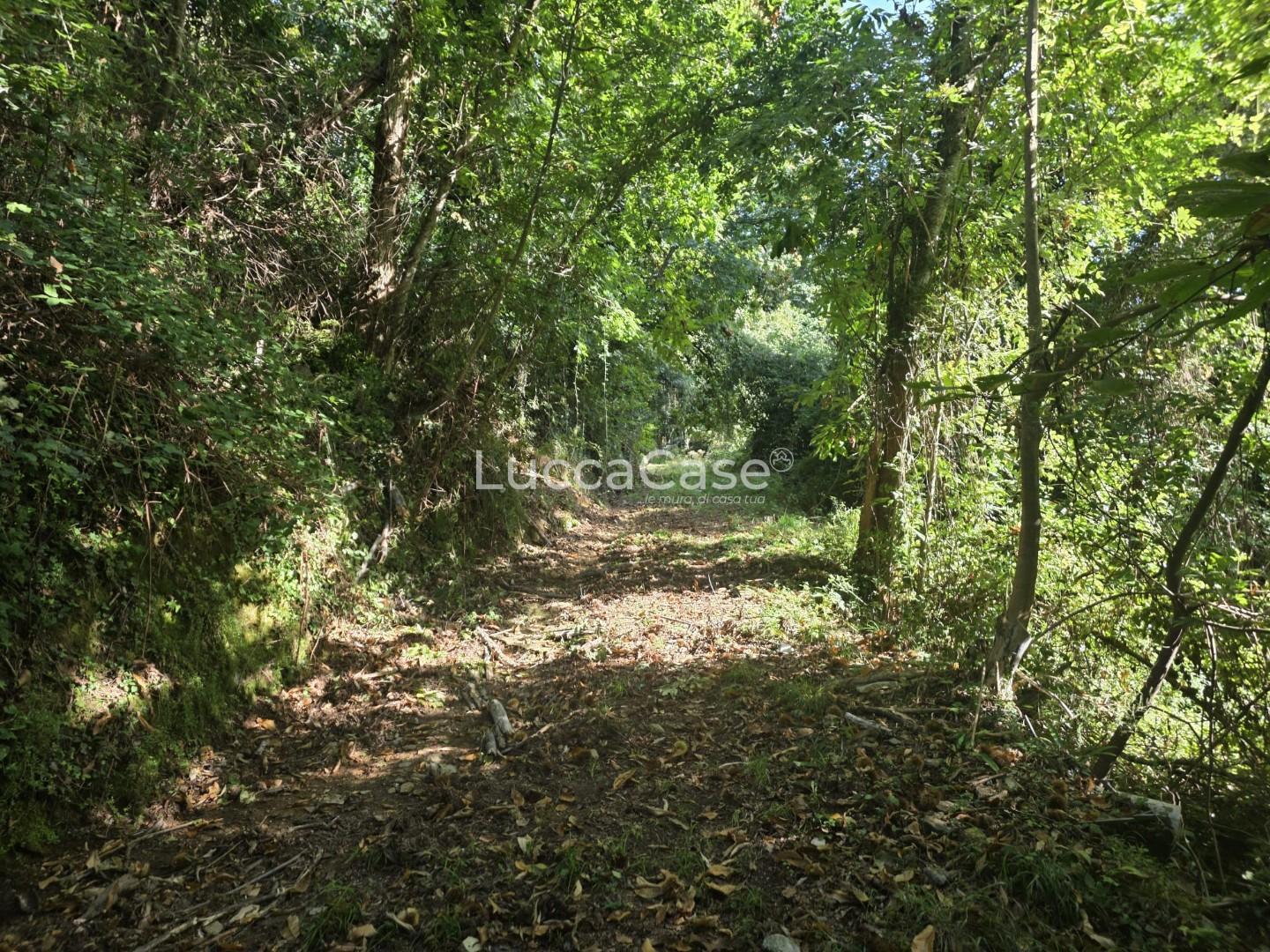 Rustico con giardino, Seravezza giustagnana