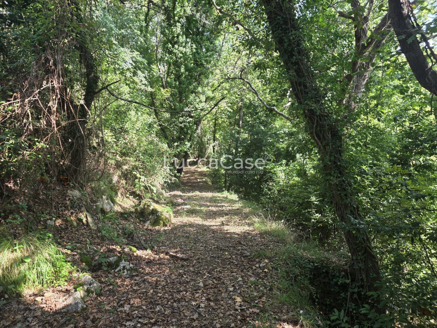 Rustico con giardino, Seravezza giustagnana