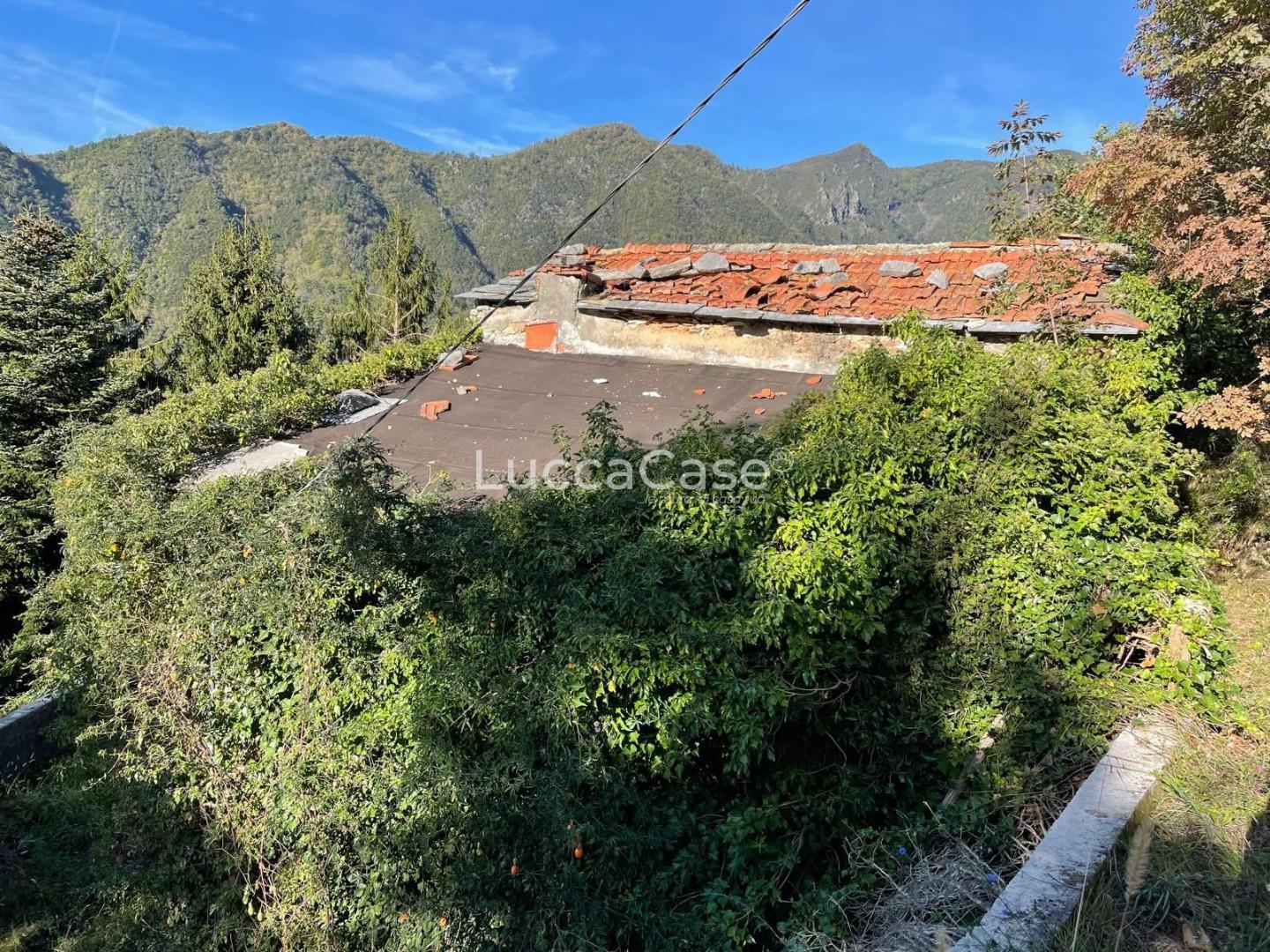 Rustico con giardino, Seravezza giustagnana