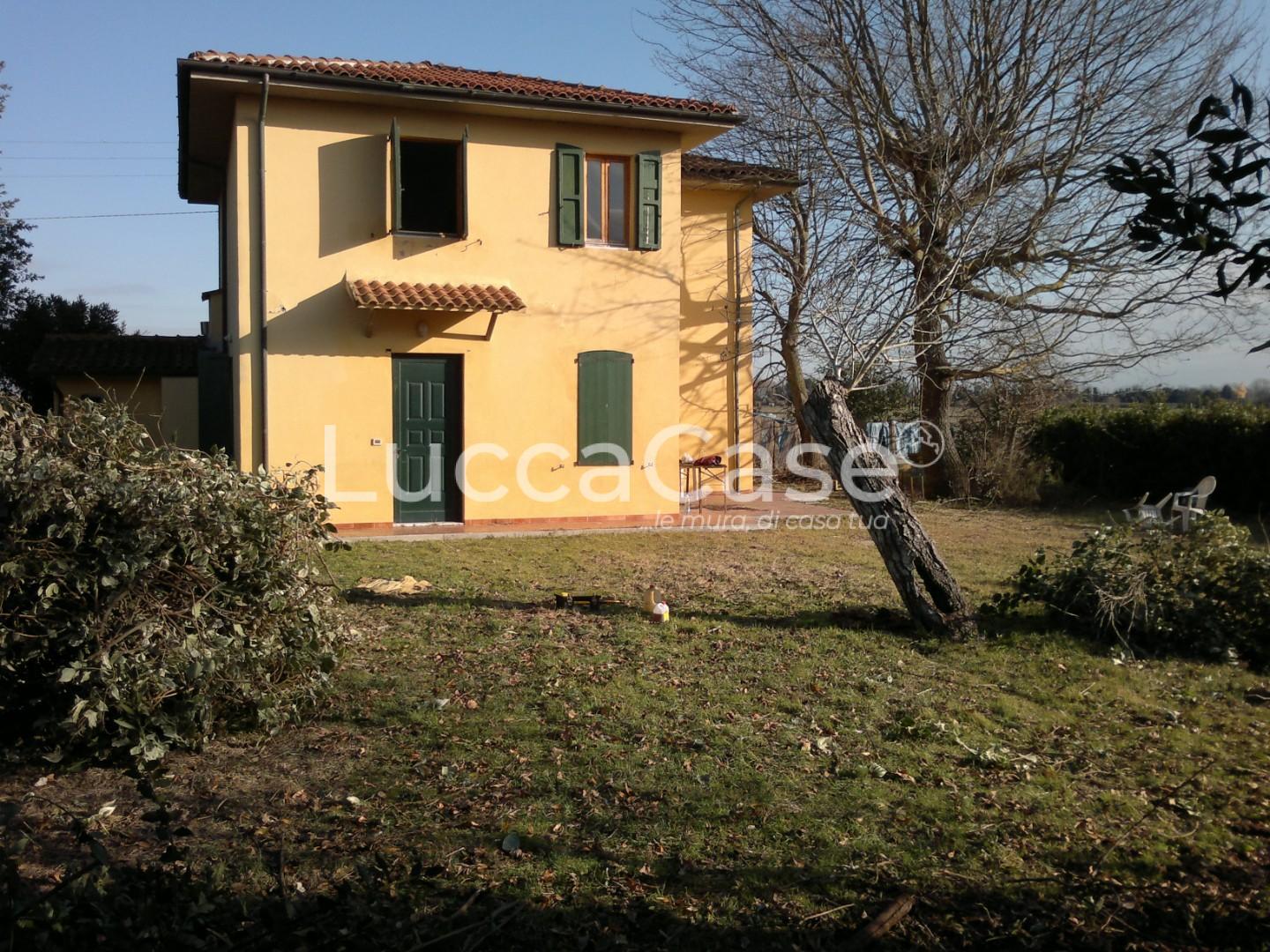 Villa con giardino, Vecchiano migliarino