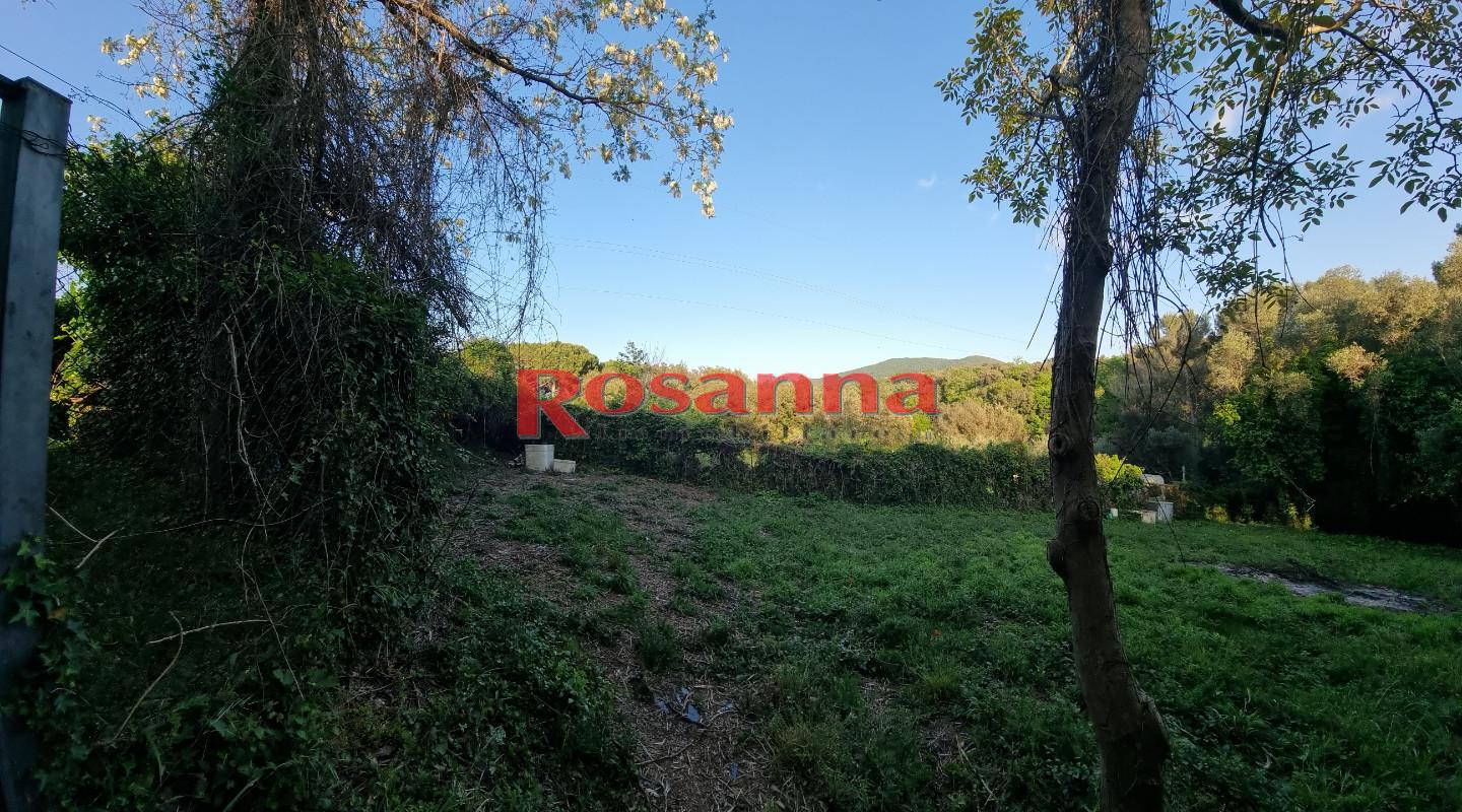 Terreno Agricolo in vendita, Livorno porta a terra