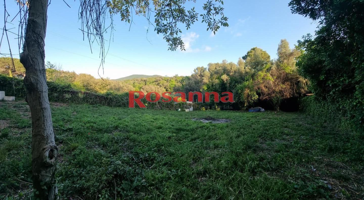 Terreno Agricolo in vendita, Livorno porta a terra